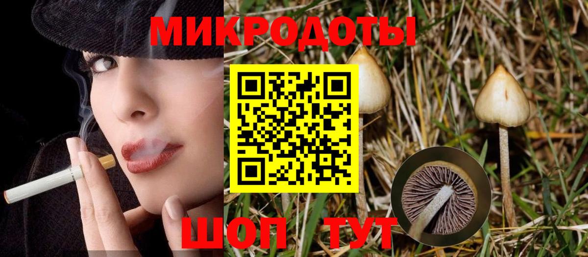 Галлюциногенные грибы мухоморы  Вход с VPN  Электрогорск 
