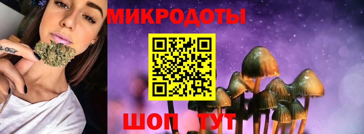 Галлюциногенные грибы прущие грибы Электрогорск